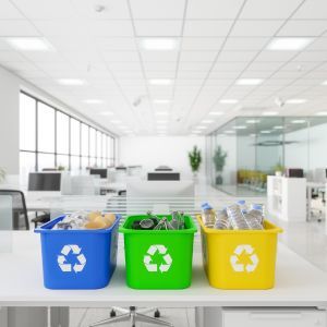 Where Should You Put Recycling Bins in the Office for Maximum Use?